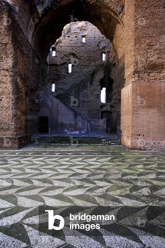 Apodyterium and vestige of the stairs leading to the upper floors/Baths of Caracalla/Rome/UNESCO Site