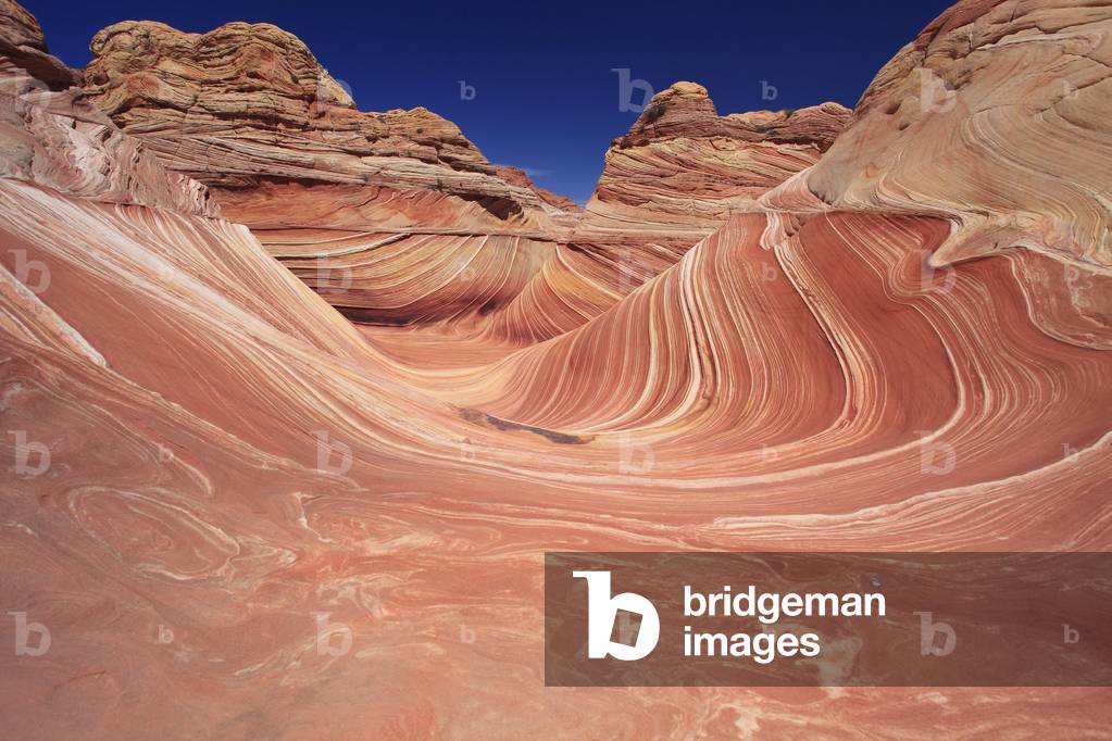 The Wave. Paria Canyon - Vermilion Cliffs National Wildeness. North Coyote Buttes. National Monument. Arizona, USA, USA