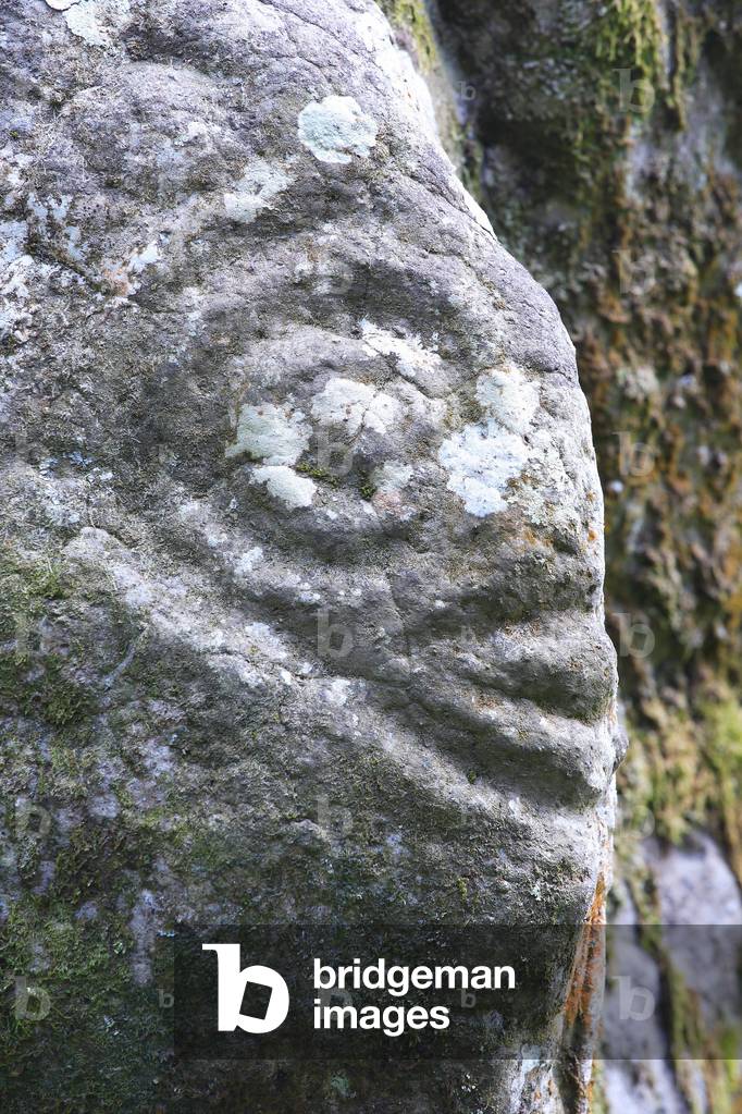 Anthropomorphic petroglyph on one of the stone of the me'ae (religious and sacred space)/Archaeological site of Iipona in Puamau/Pre-European period/island of Hiva Oa/Archipelago of the Marquises/French Polynesia
