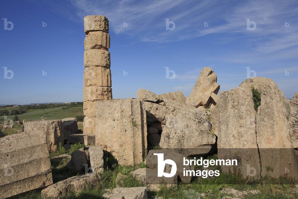 Selinunte: Acropolis, The C Temple or the temple of Apollo, 560 - 540 BC Sicily - Selinonte, The Acropolis, Remains of the temple C or temple of Apollo, VIth century BC Sicily