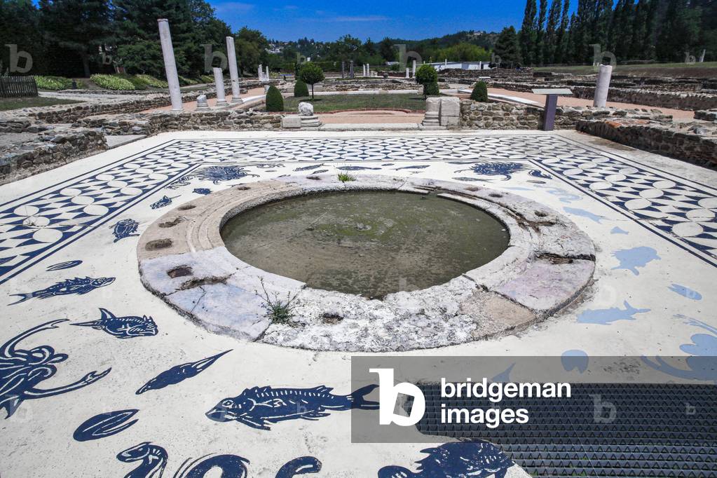 Gallo-Roman archaeological site in Saint-Romain-en-Gal  near Vie