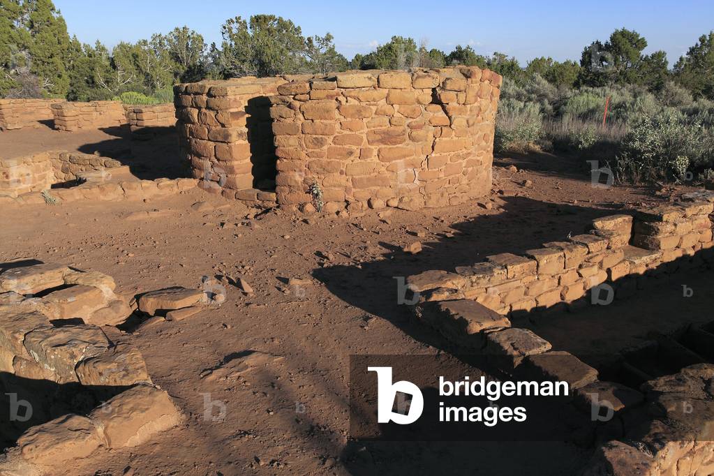 Mesa Verde, Far view sites, Coyote village, tower and Kiva - Ancient American civilization Anasazi or ancestral people Pueblo, 10th - 14th century - Mesa Verde National Park, Colorado, USA (USA), UNESCO Site