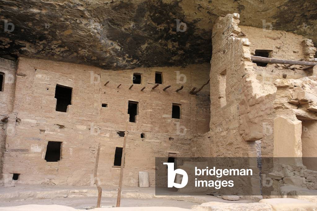Spruce tree House a Mesa Verde - Entrée of Kiva with ladder and dwelling of ancient American civilization Anasazi or ancestral Pueblo people, 12th - 14th century - Cliff Dwelling, Mesa Verde National Park, Colorado, USA (USA), UNESCO Site
