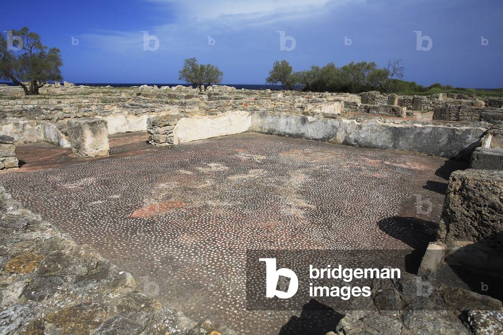 Opus signinum pavement of a rich Punic residence/Kerkouane/Tunisia/UNESCO Site