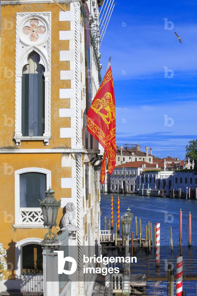 Facade and windows of the Palazzo  Cavalli-Franchetti.