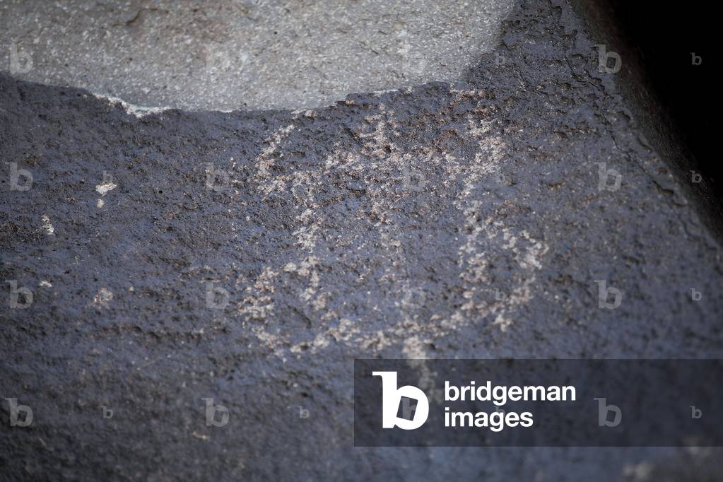 Indian Petroglyphs representing a Turtle - Petroglyph National Monument - Albuquerque, New Mexico, USA (USA)