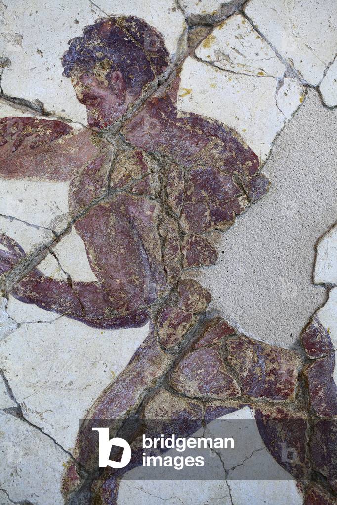 The games of the palaestra