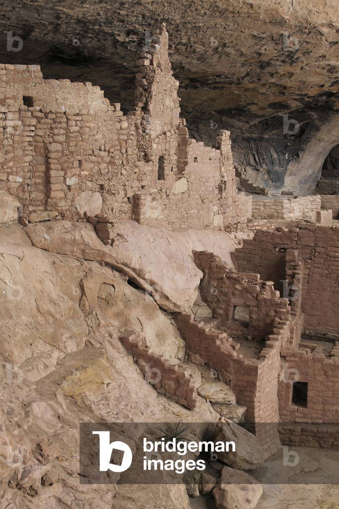 Long House a Mesa Verde - Anasazi ancient American civilization troglodyte dwellings or Pueblo ancestral people, 12th - 14th century - Cliff Dwelling, Mesa Verde National Park, Colorado, USA (USA), UNESCO Site