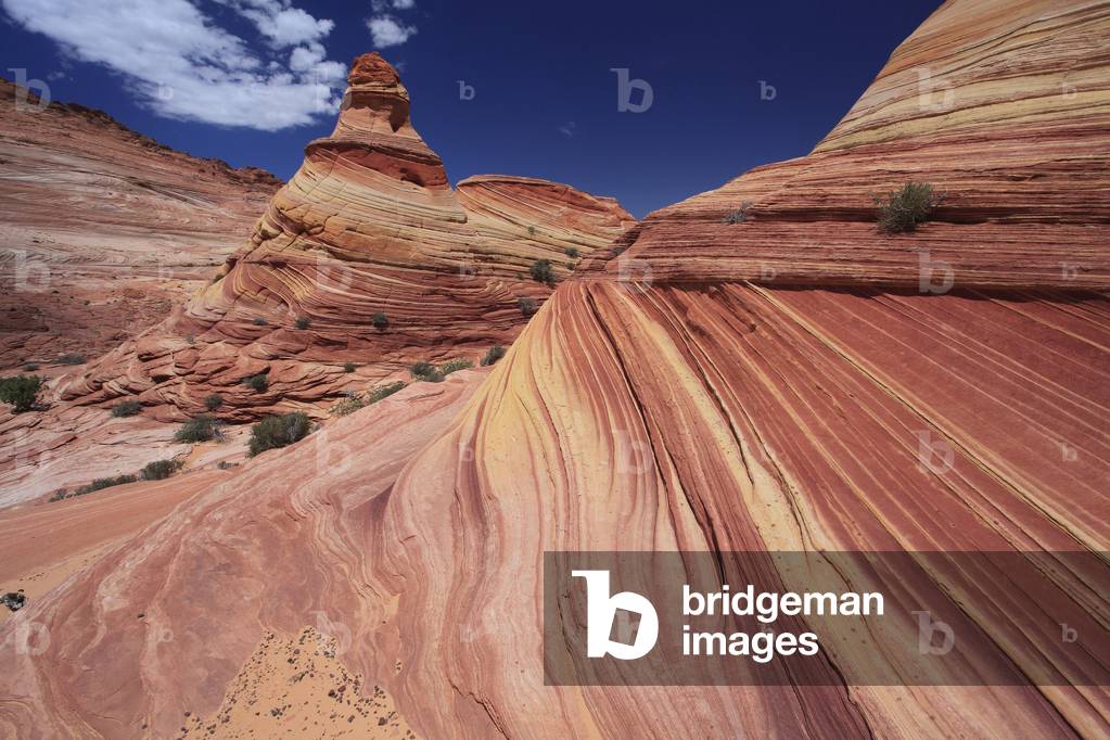 The Wave. Paria Canyon - Vermilion Cliffs National Wildeness. North Coyote Buttes. National Monument. Arizona