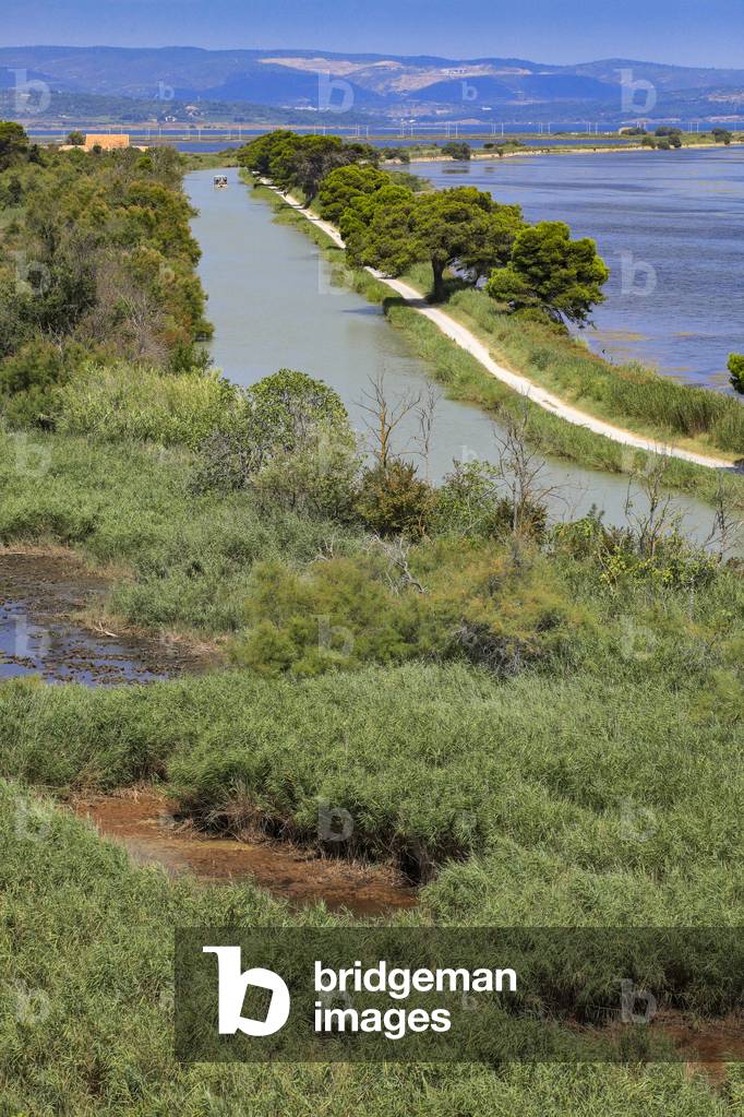 Robine Canal, accross the natural park of the island of Saint Lucie