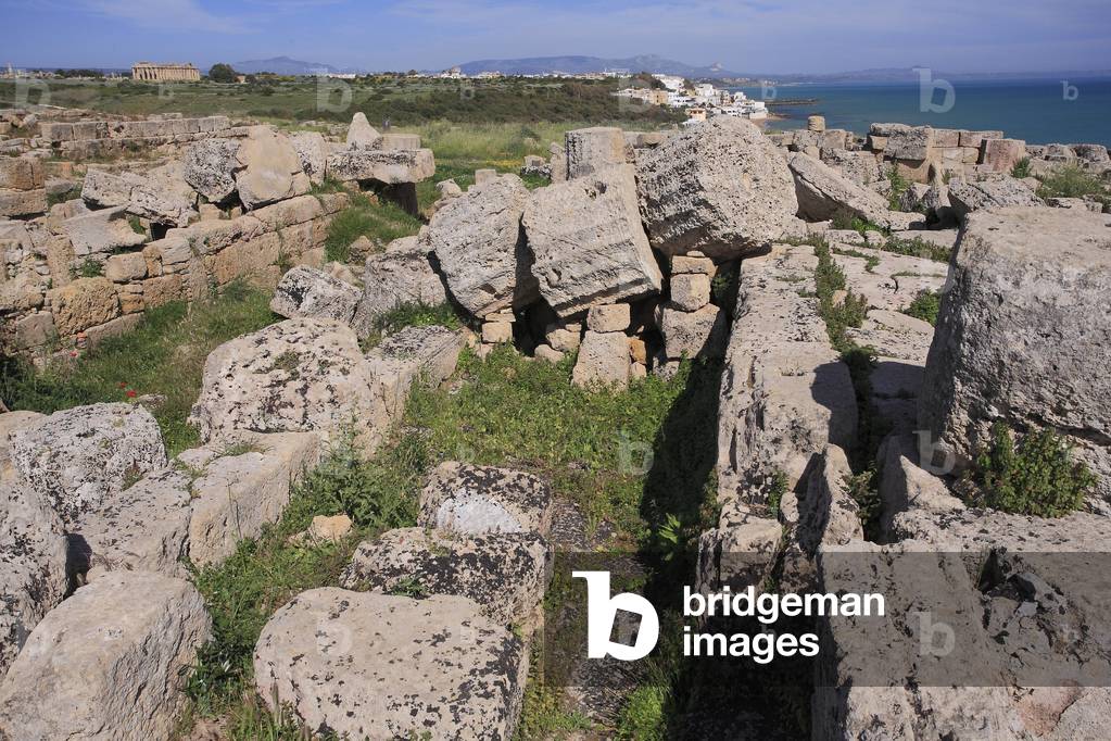 Selinunte: Acropolis, Remains of the C Temple or the temple of Apollo, 560 - 540 BC Sicily - Selinonte, The Acropolis, Remains of Temple C or Temple of Apollo, VIth century BC Sicily
