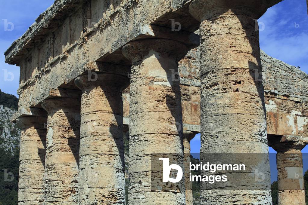 Unfluted Doric Columns of the Temple of Segesta: 5th century BC Sicily - Unfluted columns of a lateral side of the Doric temple of Segesta: 5th Century BC Scily