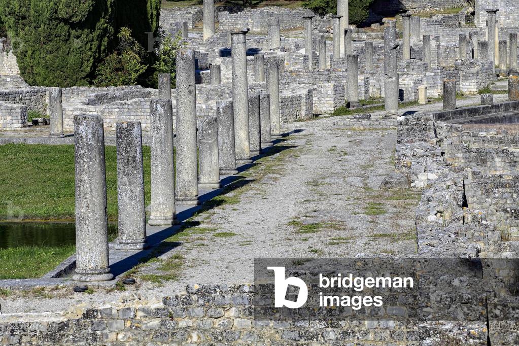 Decumanus along the Palestre with swimming pool and spa complex of the House with the Silver Bust