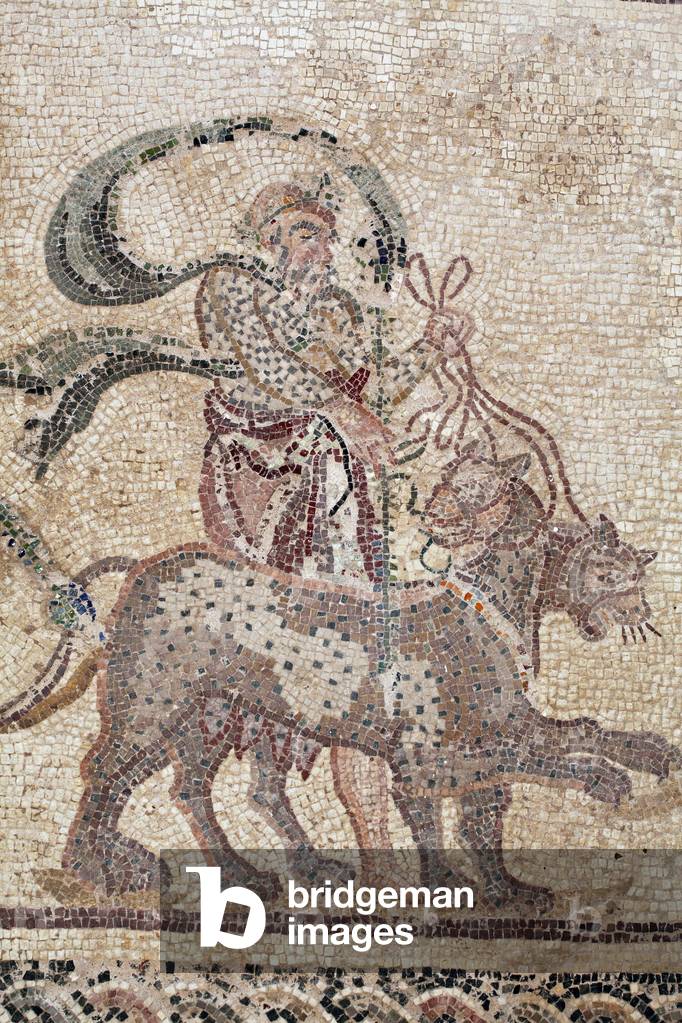Detail of The Triumph of Dionysos - Return of the god from a military expedition to India - Silenus holding the reins of the Panthers - Paphos mosaics, House of Dionysos, End of the 2nd Century AD - Cyprus - The triumph of Dionysus - Long mosaic retracing the triumphal cortege of Dionysus back from his expedition to India - Silene leading the workshop of two pantheres - Mosaic of Paphos, Aion House - End II Century after JC - UNSECO Site - Cyprus