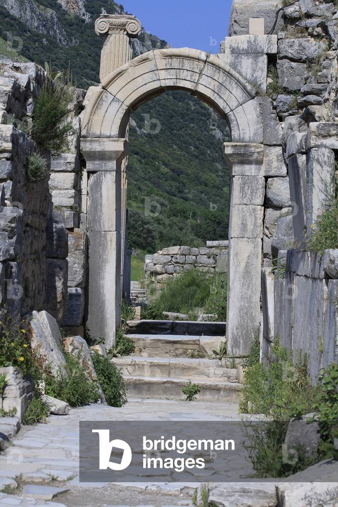 Entry of Odeon/Ephese/Turkey