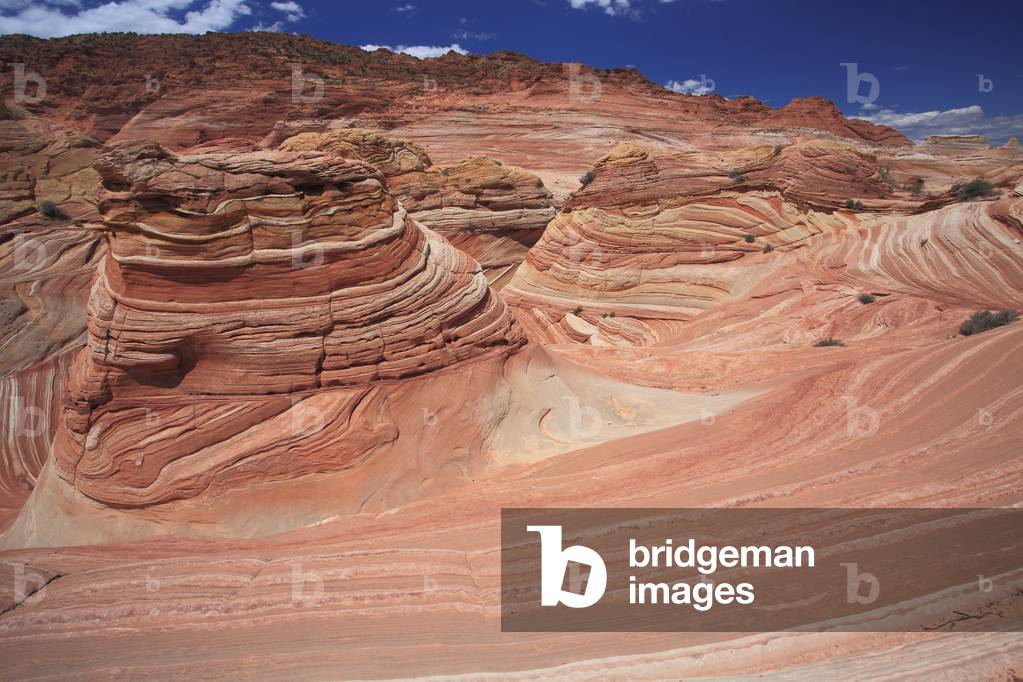 The Wave. Paria Canyon - Vermilion Cliffs National Wildeness. North Coyote Buttes. National Monument. Arizona, USA, USA