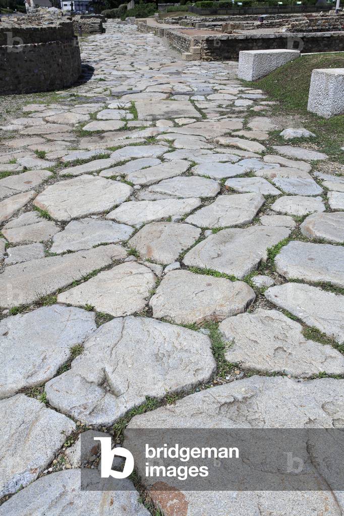 Gallo-Roman archaeological site in Saint-Romain-en-Gal  near Vie