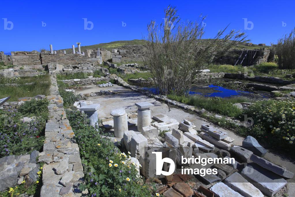 Archaeological site of Delos. The lake palestra . 2nd Century BC.