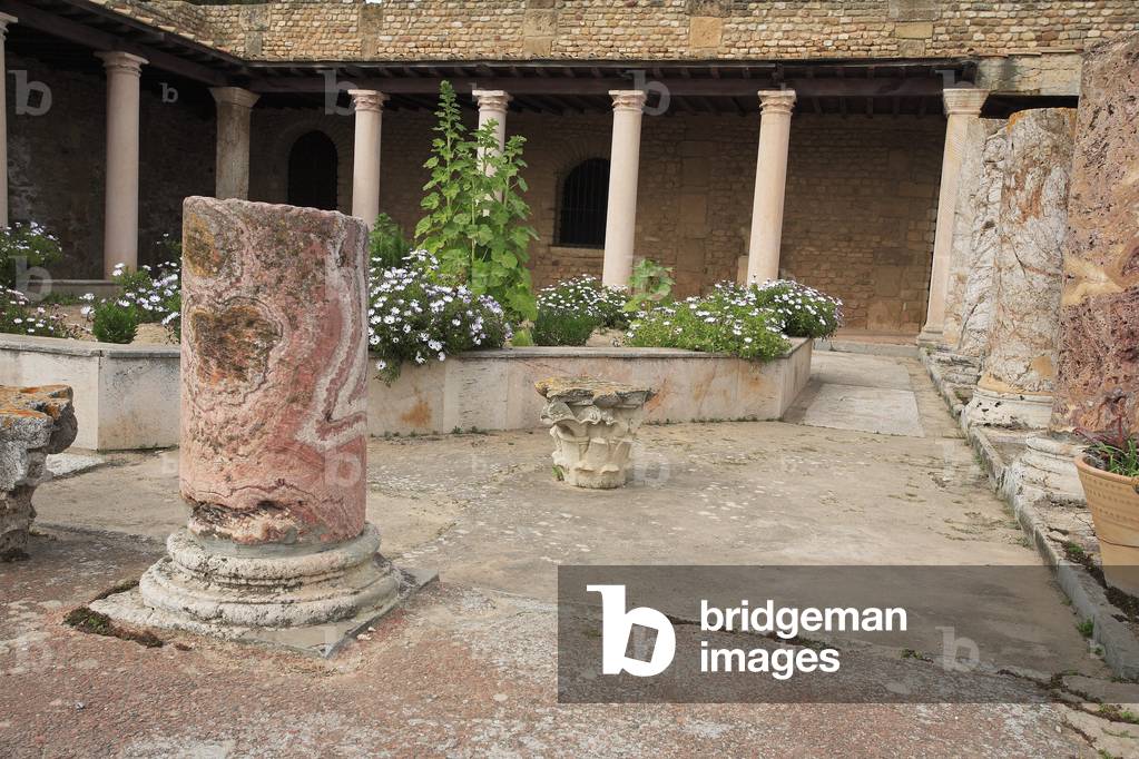 Peristyle House of the Voliere with its octagonal garden/Carthage/Tunisia/UNESCO Site