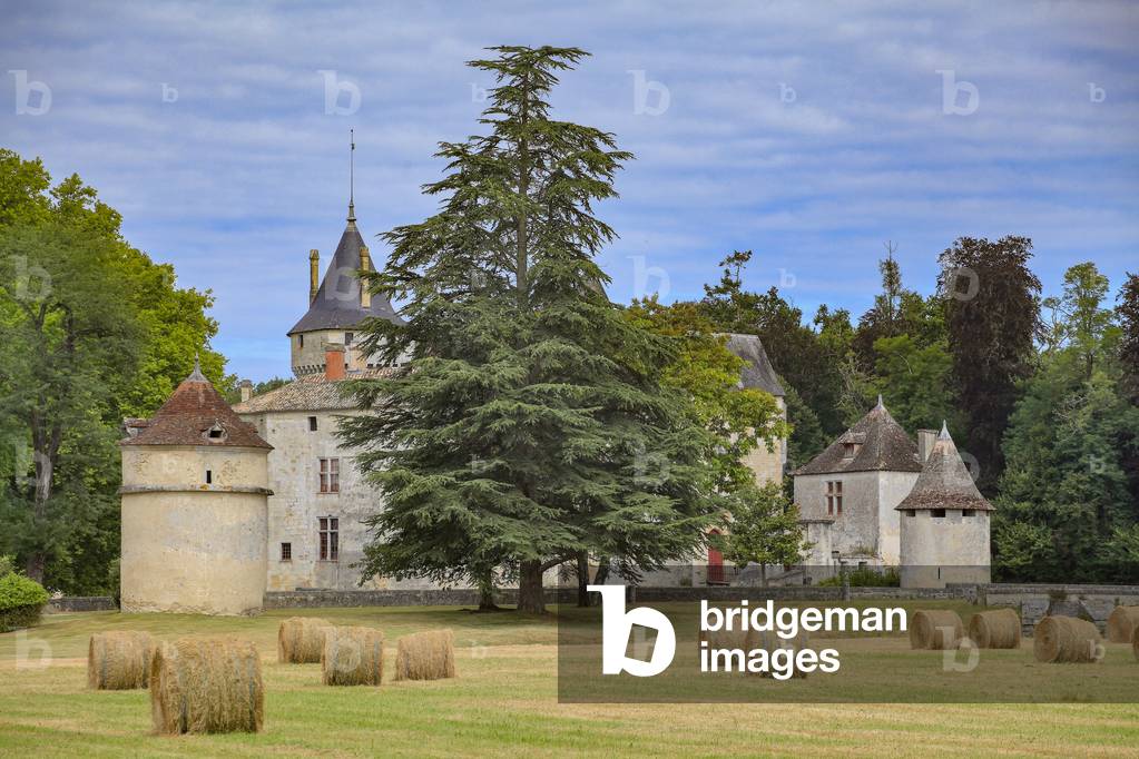 Castle of the Brède