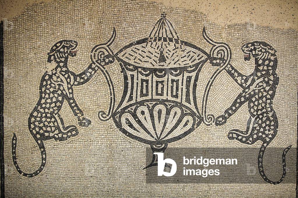 Panther mosaic. Archaeological museum in Nîmes