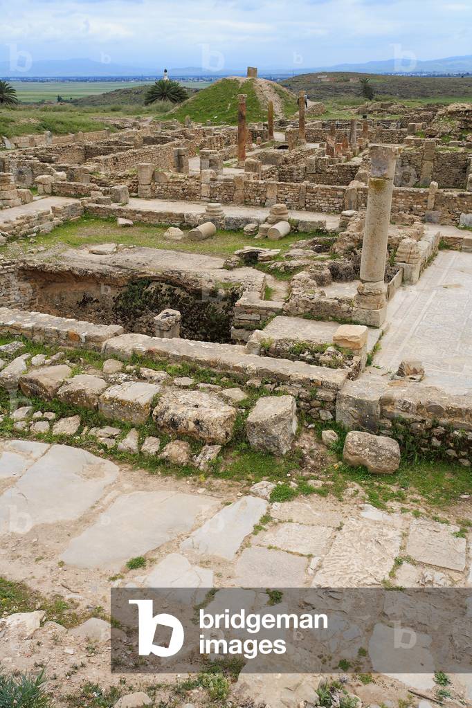 Overview: new hunting house and hunting house/Bulla regia/Tunisia