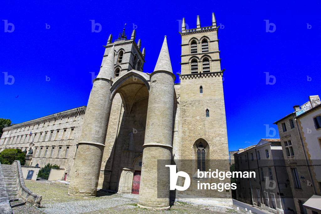 Cathedral of Montpellier. Old Town. Herault, France