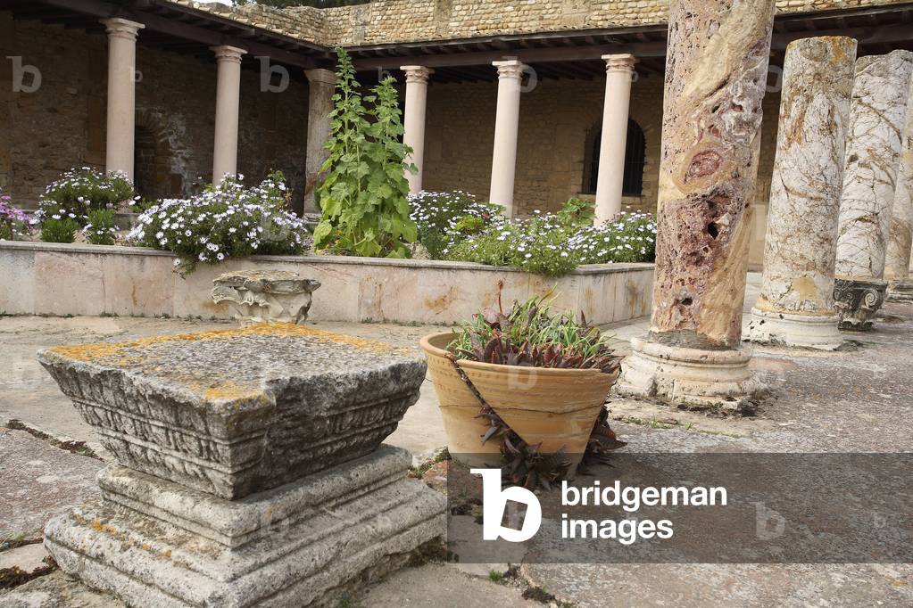 Peristyle House of the Voliere with its octagonal garden/Carthage/Tunisia/UNESCO Site