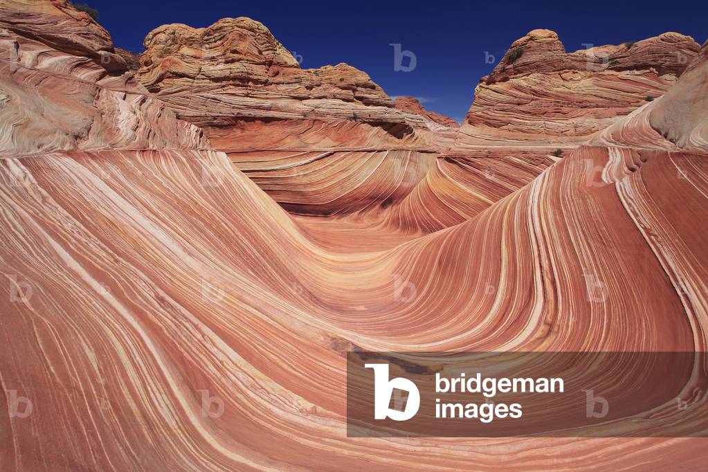 Image de Photographie représentant The Wave. Paria Canyon - Vermilion Cliffs National Wildeness. North Coyote 