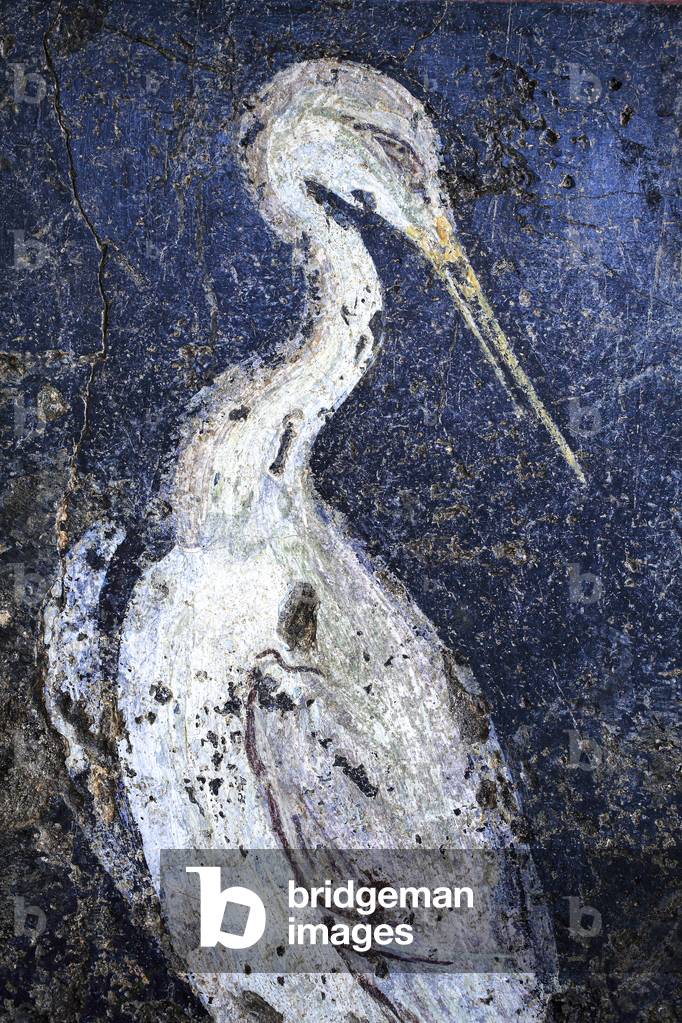 Roman wall-painting