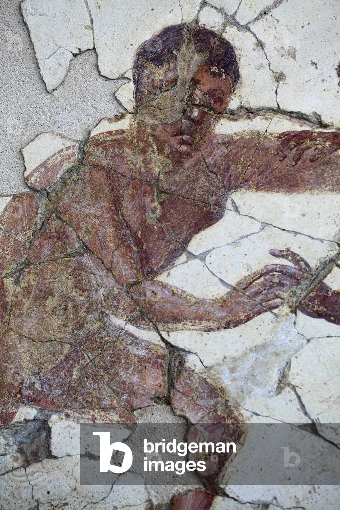 The games of the palaestra