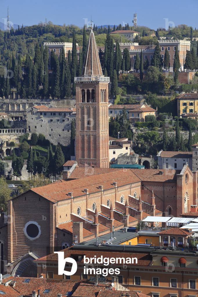 Panorama of downtown of Verona and church of sant'Anastasia, Historical center, Verona, Veneto, Italy, 2019 (photo)