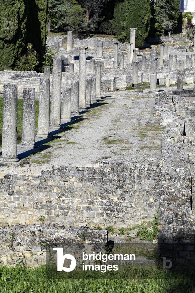 Decumanus along the Palestre with swimming pool and spa complex of the House with the Silver Bust