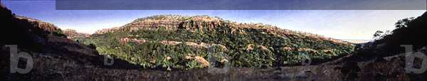 Dye Creek Canyon, 1999 (oil on canvas)