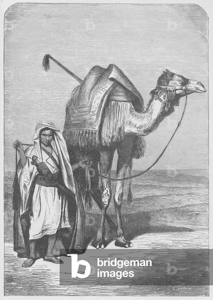 The ship of the desert (engraving)