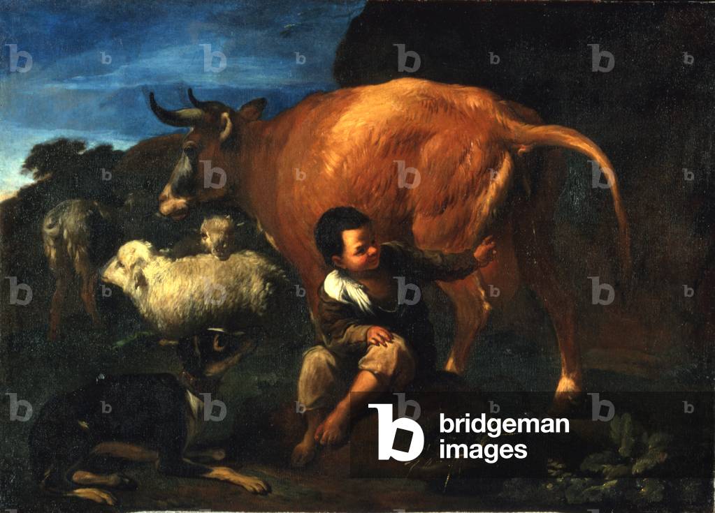 Shepherd Boy and Cow, late 17th century (oil on canvas)
