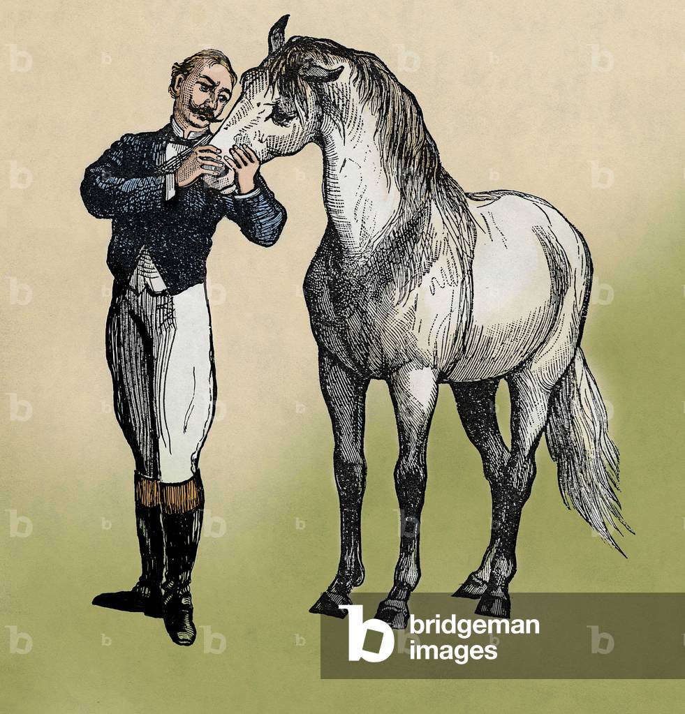 Circus: the complicity between a horse and its trainer Colourful engraving of the 19th century