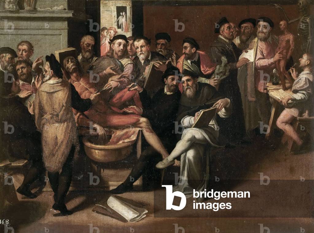 The Anatomy Lesson, 16th century (oil on canvas)