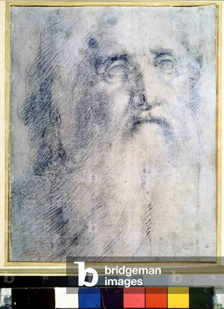 "Human portrait study with a beard", 1535 (drawing)