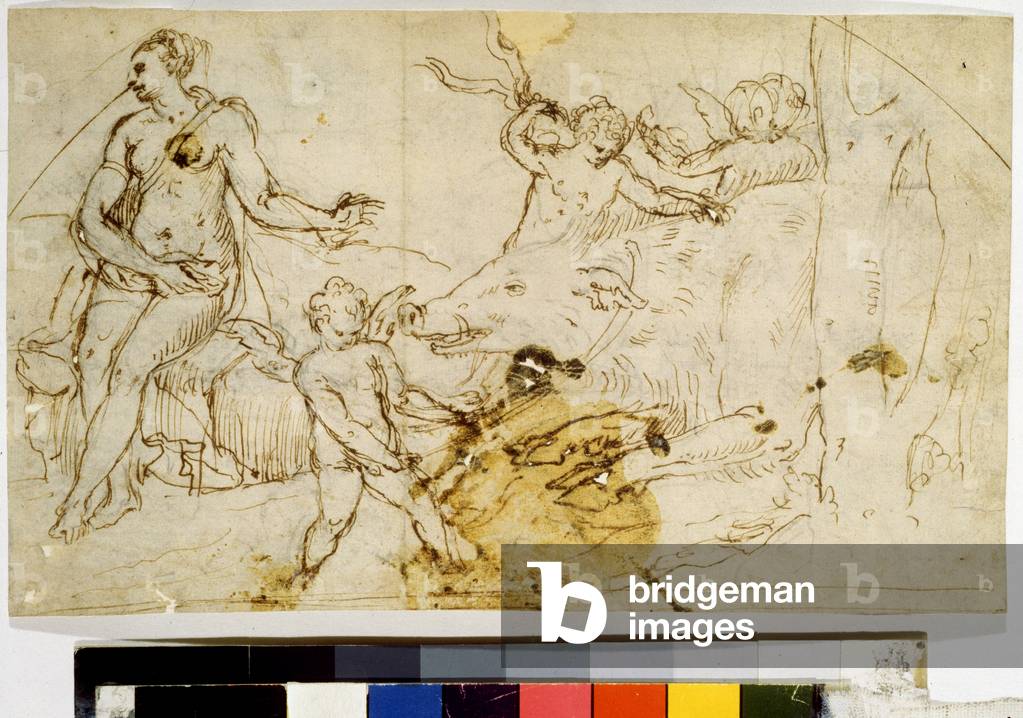 „Venus, Putten und Wildschwein“ (Venus, Putten und ein Wildschwein), 16. Jahrhundert (Tuschezeichnung)