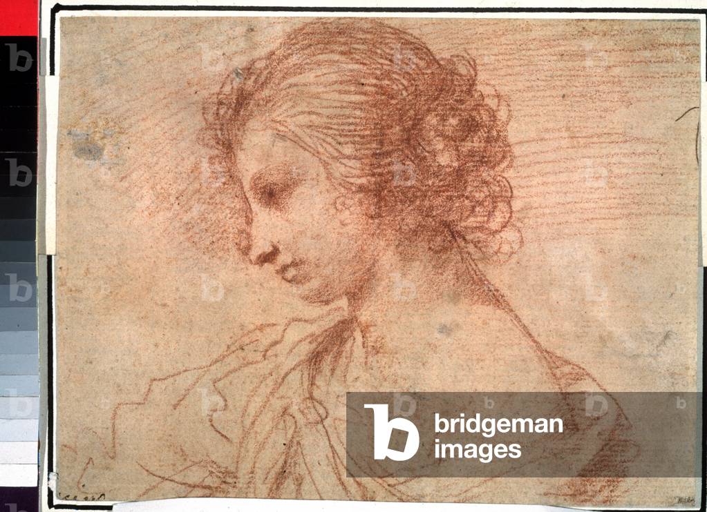 Immagine di Disegno "Ritratto di giovane ragazza. (Ritratto al seno di giovane donna)" 1601 di Guercino