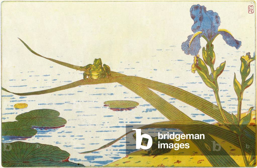Frogs - Color, 1895 (aquatint)