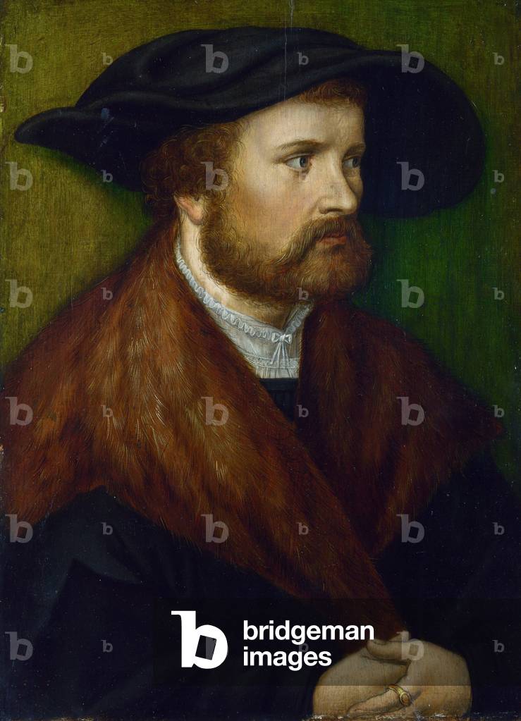 Portrait of man, c.1530 (painting)