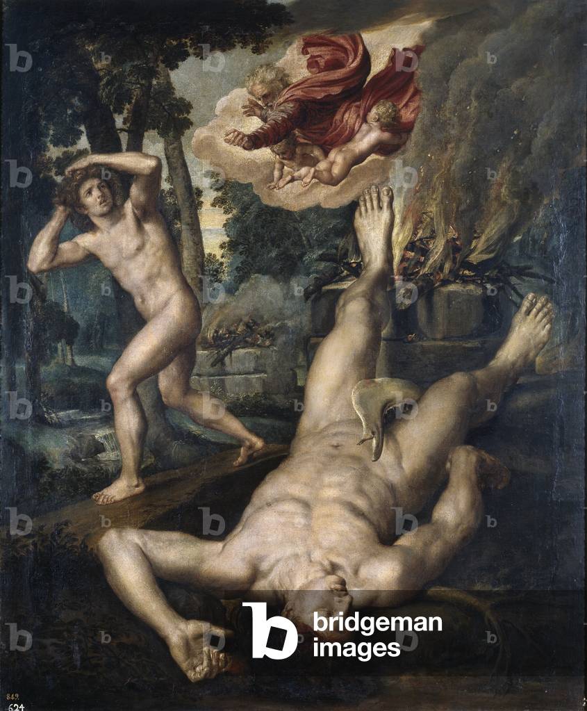 La morte di Abele, 1539 (olio su legno)