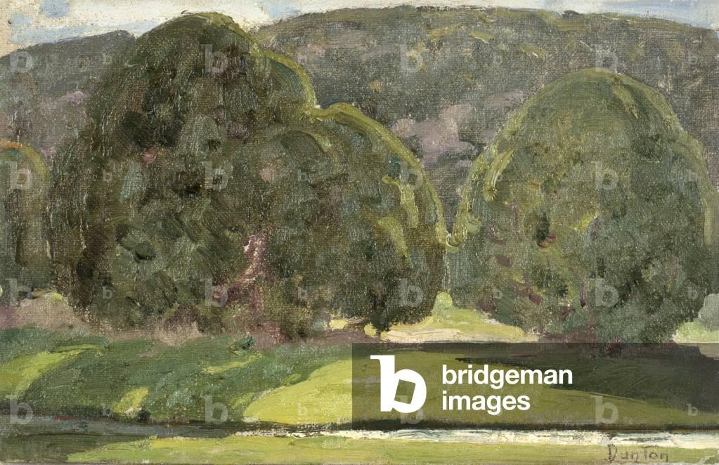 Bild von Gemälde "Sonnenlicht und Zedern", 20. Jahrhundert von William Herbert 'Buck' Dunton