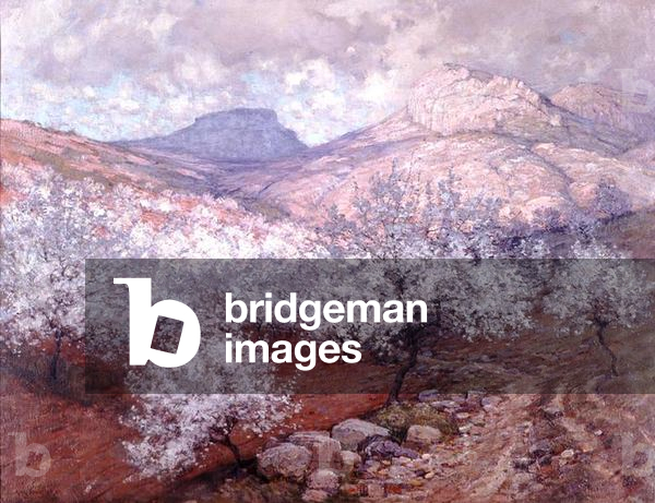 il pesco frutteto, 1928 (olio su tela)