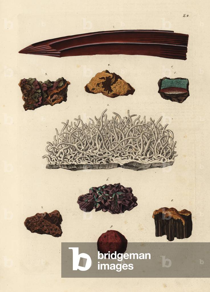 Varieties of iron ore. Handcoloured copperplate engraving by after an illustration by from Georg Wolfgang Knorr's Deliciae Naturae Selectae of Kabinet van Zeldzaamheden der Natuur, Blusse and Son, Nuremberg, 1771.