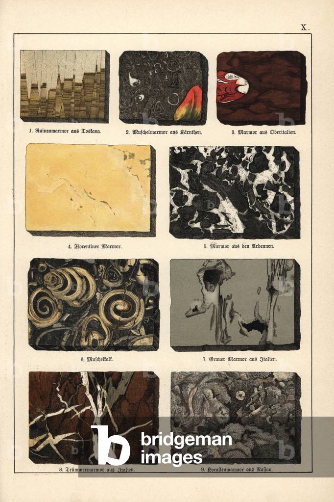 Marbles Variete - Chromolithography of Mineralogy by Gustav Adolph Kengott (1818-1897), extract from Natural History by Gotthilf Heinrich von Schubert (1780-1860), 1886 - Varieties of marble including ruin marble, shell marble, coquina or shell limestome, shattered marble and coral marble - Chromolithograph from Dr. Aldolph Kenngottages “Mineralogy” section in Gotthilf Heinrich von Schubert's “” Naturgeschichte,””” Schreiber, Munich, 1886