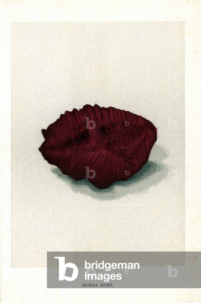 Burma ruby. Chromolithography, in Precious Stones and Gems by Edwin Streeter, published in London, England, by George Bell and Sons, 1892.
