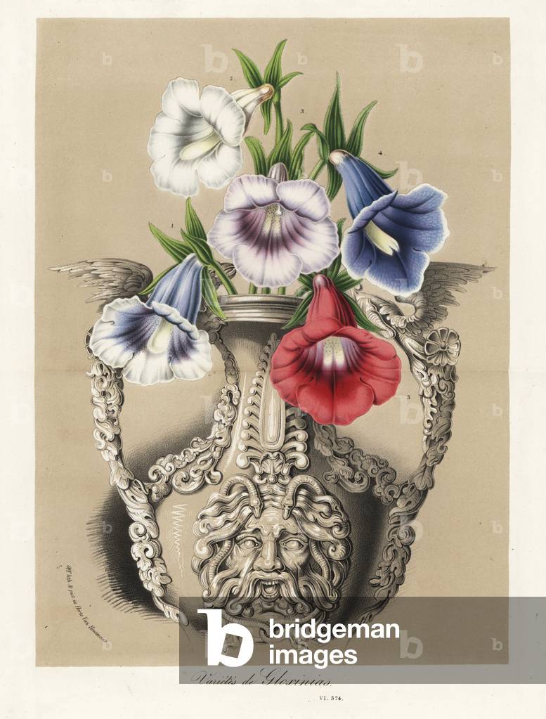 Varieties of Gloxinia, Sinningia speciosa, in a vase. Handcoloured lithograph from Louis van Houtte and Charles Lemaire's Flowers of the Gardens and Hothouses of Europe, Flore des Serres et des Jardins de l'Europe, Ghent, Belgium, 1870.